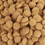 61064-croquettes-chien-all-size