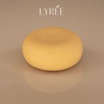61840-shampoing-solide-cheveux-secs-lyree-85ml