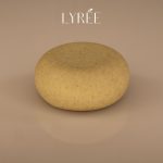 61841-shampoing-solide-cheveux-gras-lyree-85ml